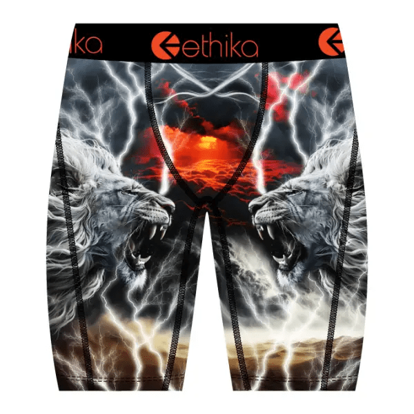 Boxer & Briefs - Cityswagusa.com