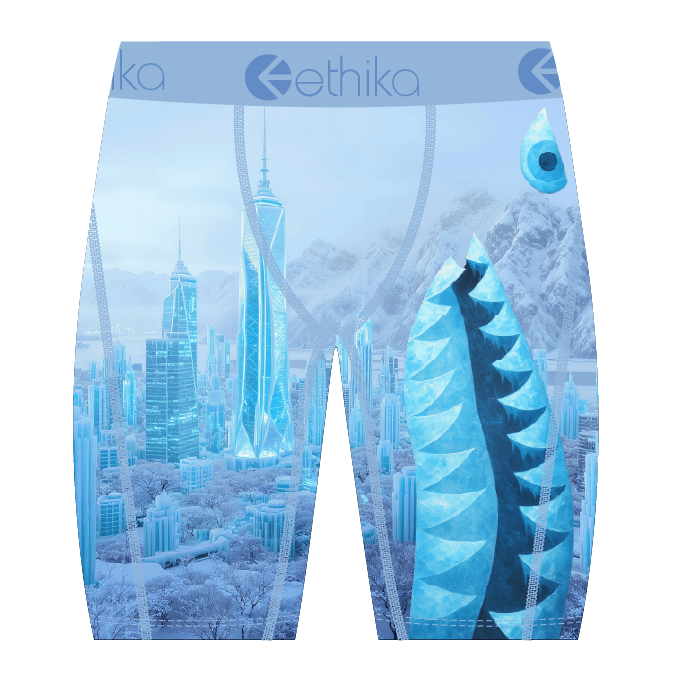 Ethika bmr city of stillness boxer - BOXER - Cityswagusa.com