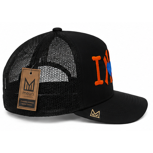 I heart ny big apple snapback hat by DAD HATS