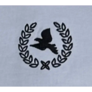 Chosen dcpl victory t-shirt - T-SHIRT