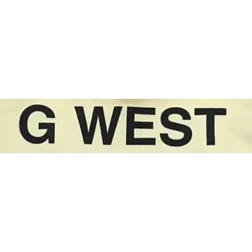 Gwest skull hoodie - HOODIE