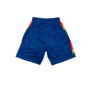 Mitchell & Ness Denver Nuggets shorts - SHORTS