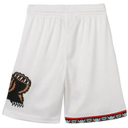 Mitchell & ness grizzlies 98-99 shorts - SHORTS