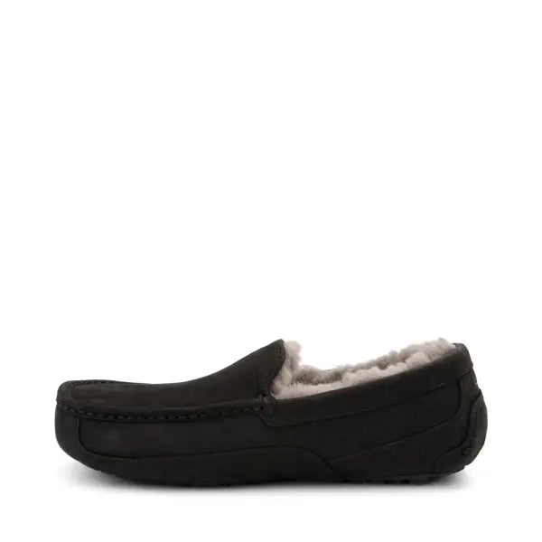 Ugg m ascot - SHOES